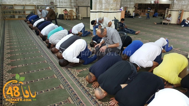 kaber ramla qder (25).jpg